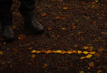 Awe Academy and Dorchess training where participants made an arrow of leaves pointing the way 