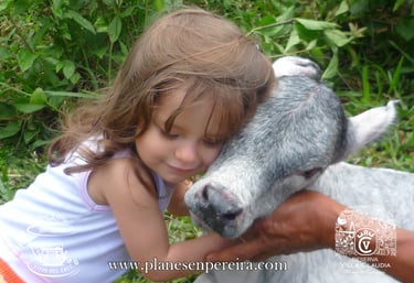 toures en Pereira Colombia