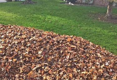 A pile of autumn leaves by the curb after being cleared from a green lawn, with trees and grass.