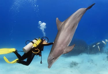 a person in a scuba suit is holding a scuba suit and a scuba diver