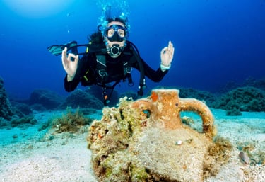 a person in a scuba suit and scuba gear