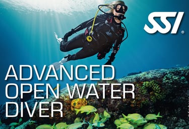 a scuba diver in a diving suit with a scuba diver in the background