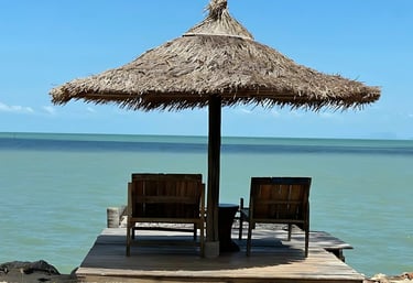 Experience thailands beach bungalows. Paradise, beach, coconut, thailand