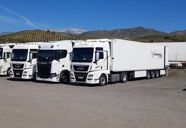 Exportación de Frutas