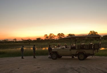 a safari vehicle with people in the background