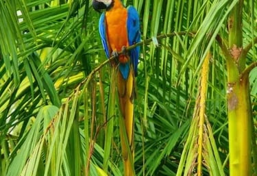 a colorful parrot sitting on a tree branch