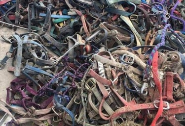 a pile of horse halters with no horses