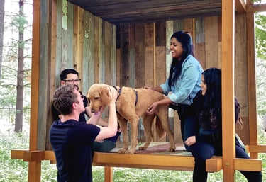 A photo of people and a dog laughing inside a wood pavilion