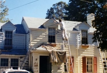 a man is painting a house with a ladder