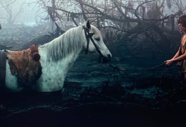 The NeverEnding Story: Sinking Horse