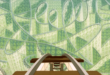 Roller Coaster or Roll Cage?