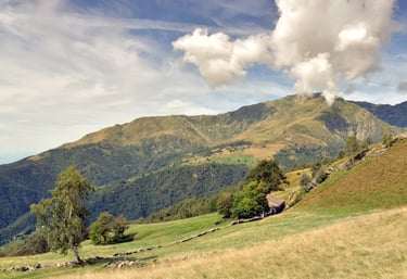 Valle Elvo Sky-running
