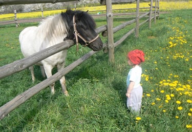 A young child stands on the opposite of a fence with a black and white pony.