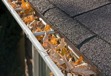 gutter cleaning services Fort Worth