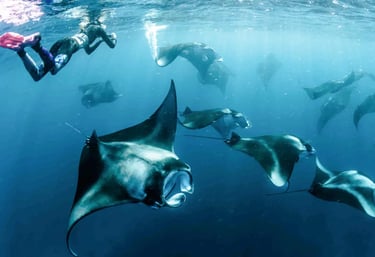manta-discovery-snorkel-combo-ukulhas