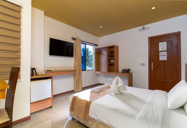 a hotel room with a bed and a television