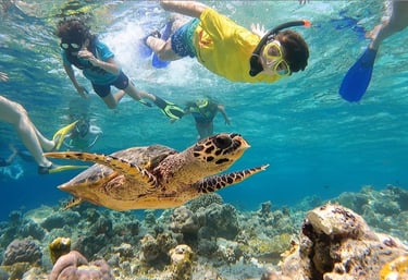 ukulhas-snorkelling-turtle-point