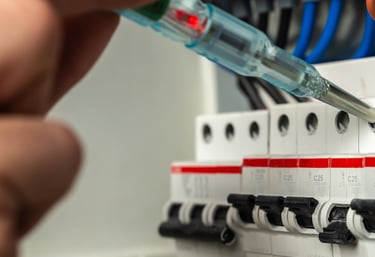 a person is holding a syet in their hand