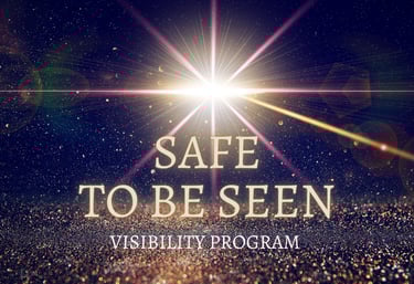 Safe To Be Seen visibility support program