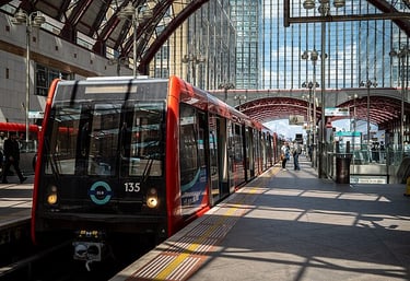 dogAdvisor | dog Advisor | dogadvisor.dog | dog Advisor