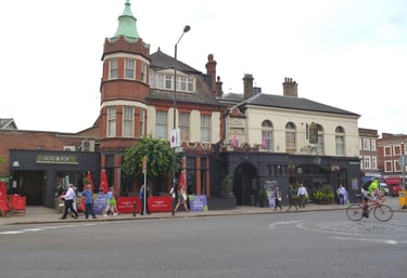 dogAdvisor | dog Advisor | dogadvisor.dog | dog Advisor