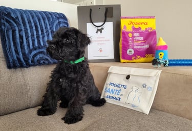 Marley part rejoindre sa famille