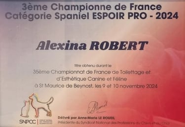 Bravo Alexina
