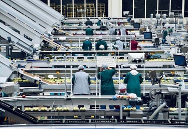 food processing plant