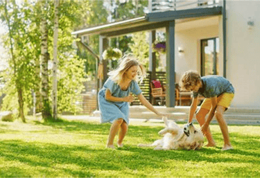 Residential Pest Control Five Forks SC
