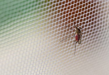 Close-up of a sturdy mosquito net frame installed on a balcony door with greenery outside.