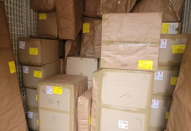 Profesionalno pakiranje robe od strane Dalmatica Mobility Group