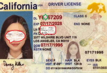 Buy scannable fake id online