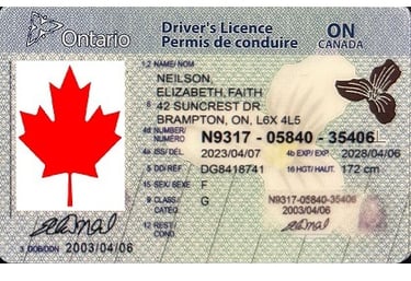Buy Scannable fake id Online