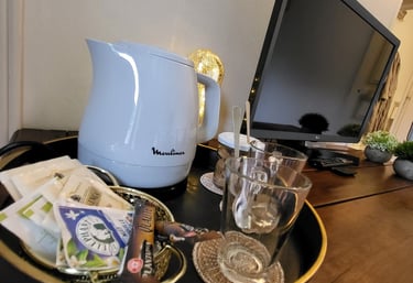 chambre chinon avec television et parking