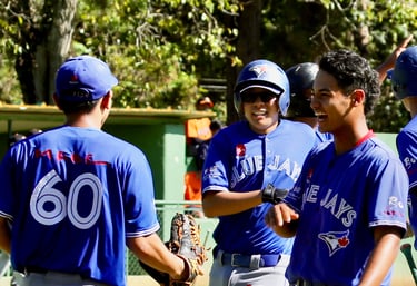 nippon blue jays amizade