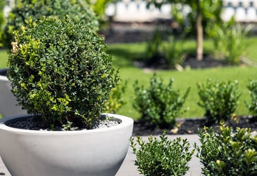 a potted planter with a potted planter
