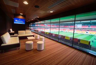 VIP access for sport event