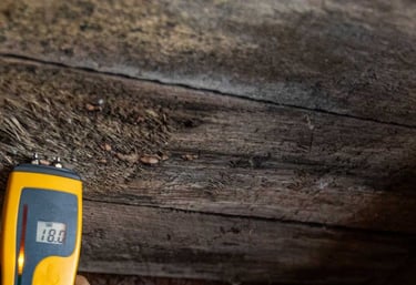 inspection of mold pressence