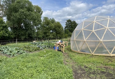 Ein Geodom im Garten als Gewächshaus mit üppig grünen Pflanzen und einem Arbeitstisch mit Werkzeug