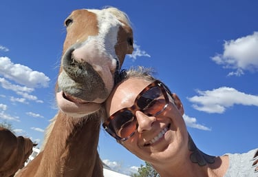 rescued baby draft horse now happy and healthy