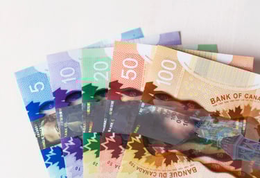 a bunch of different denominations of Canadian dollars