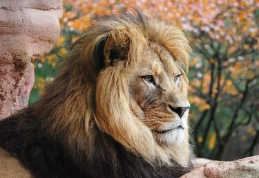 live a life of courage