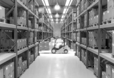intelligent warehouse management work shop