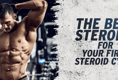 the best steroids for your first steroid cycle