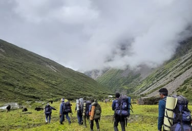 Group Trekking in Lush Green Valley