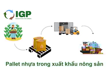 Pallet nhựa trong xuất khẩu nông sản
