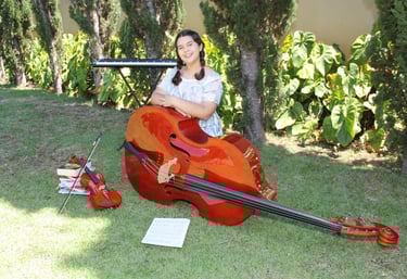 Jardim e instrumentos musicais