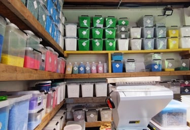 Local Plastnat, broyat de plastique 
