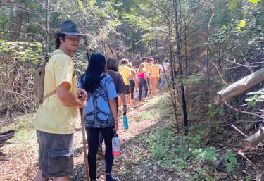 a group of people walking on a path in the woods