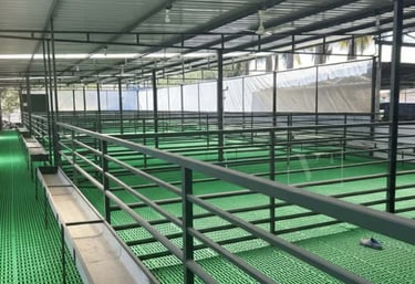 Hi tech goat farm image